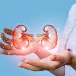 Nephrology.png